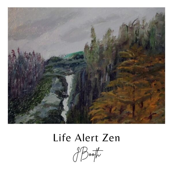 Cover art for Life Alert Zen